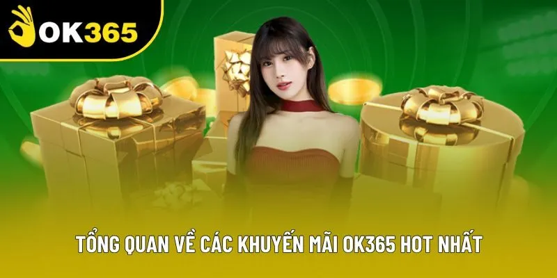 Tổng quan về các khuyến mãi OK365 hot nhất Tổng quan về các khuyến mãi OK365 hot nhất