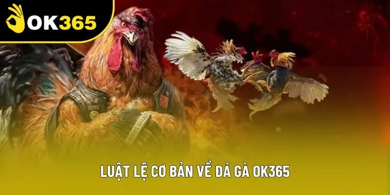 Luật lệ cơ bản về đá gà OK365 Luật lệ cơ bản về đá gà OK365