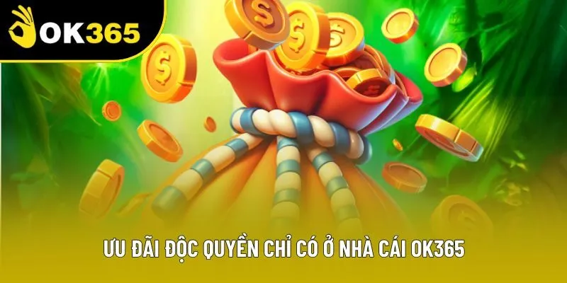 Ưu đãi độc quyền chỉ có ở nhà cái OK365 Ưu đãi độc quyền chỉ có ở nhà cái OK365